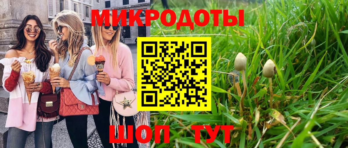 Галлюциногенные грибы Psilocybine cubensis Миллерово